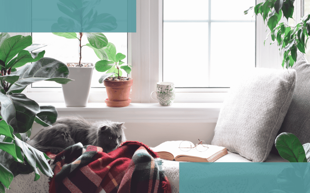 How to Create a Cozy Reading Nook with the Right Furniture